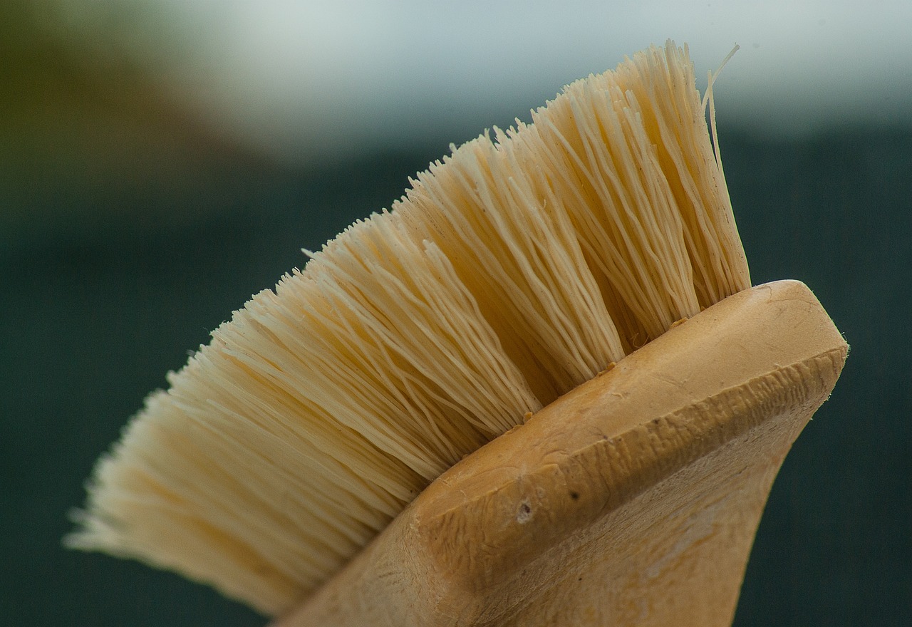 The Surprising Benefits of Eco-Friendly Cleaning Products